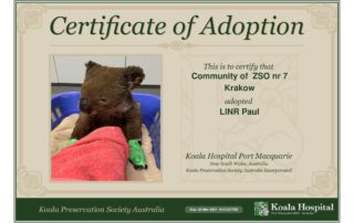 Koala Adoption Certificate 1237766-1