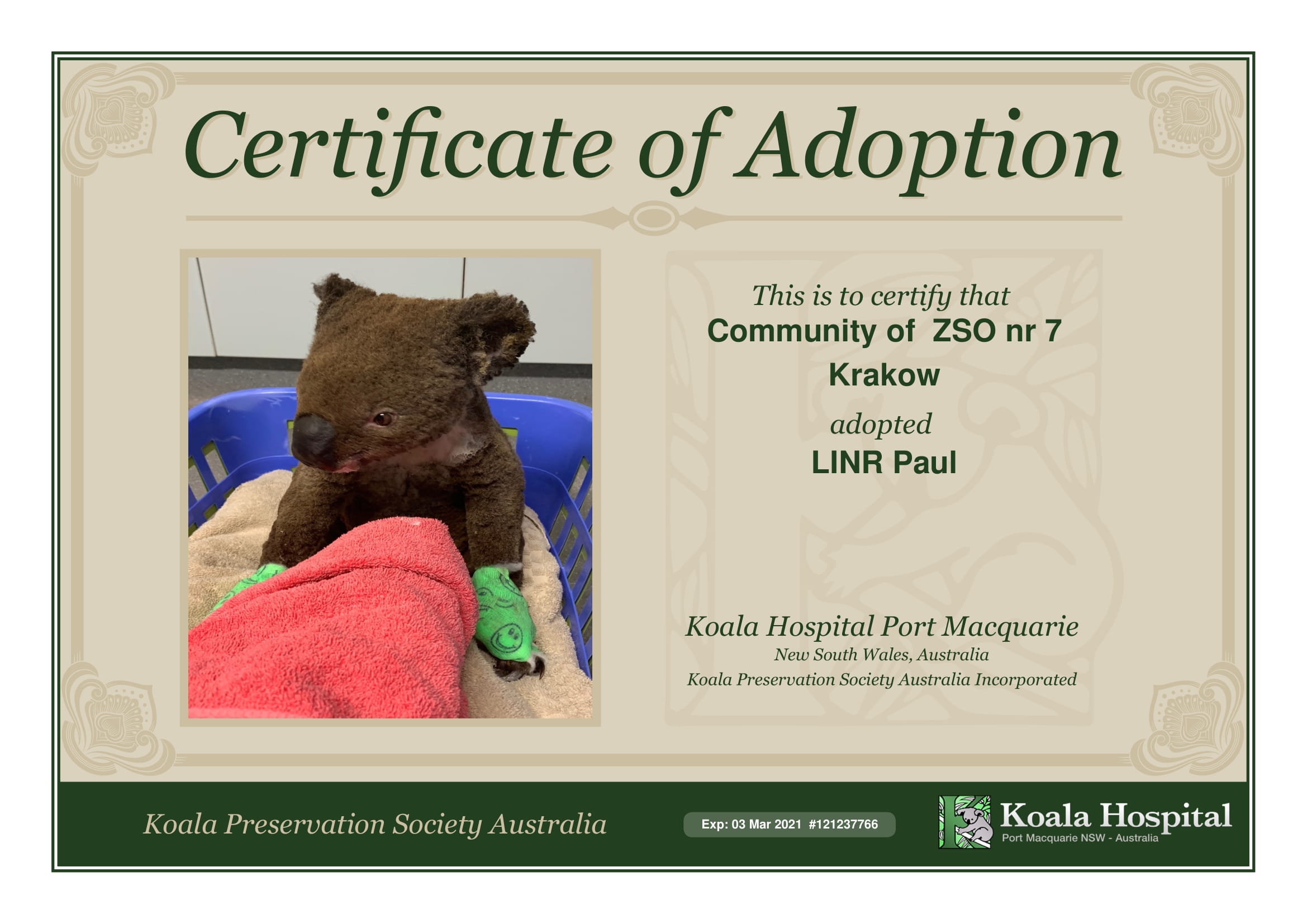 Koala Adoption Certificate 1237766-1