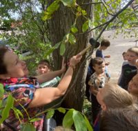 warsztaty przyrodnicze (12)