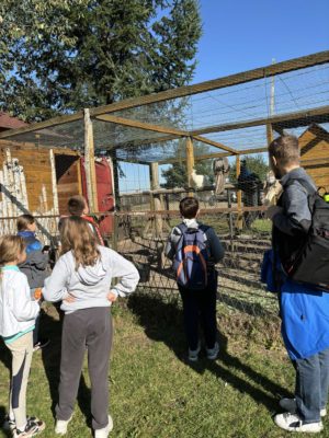 wycieczka na ranczo (10)