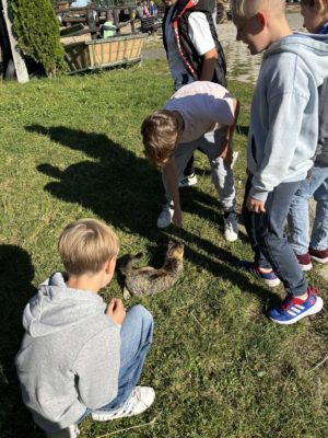 wycieczka na ranczo (9)