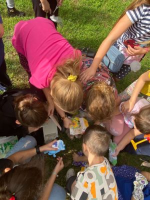 warsztaty przyrodnicze (10)