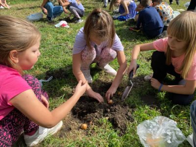 warsztaty przyrodnicze (4)