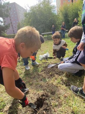 warsztaty przyrodnicze (6)