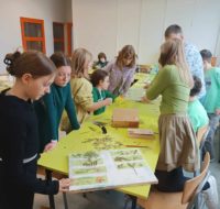 zajecia_z_cyjanotypii2025_15 (2)