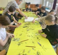 zajecia_z_cyjanotypii2025_15 (3)