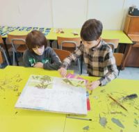 zajecia_z_cyjanotypii2025_15 (5)