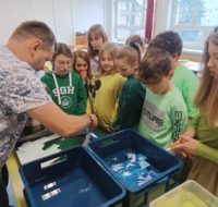 zajecia_z_cyjanotypii2025_15 (8)
