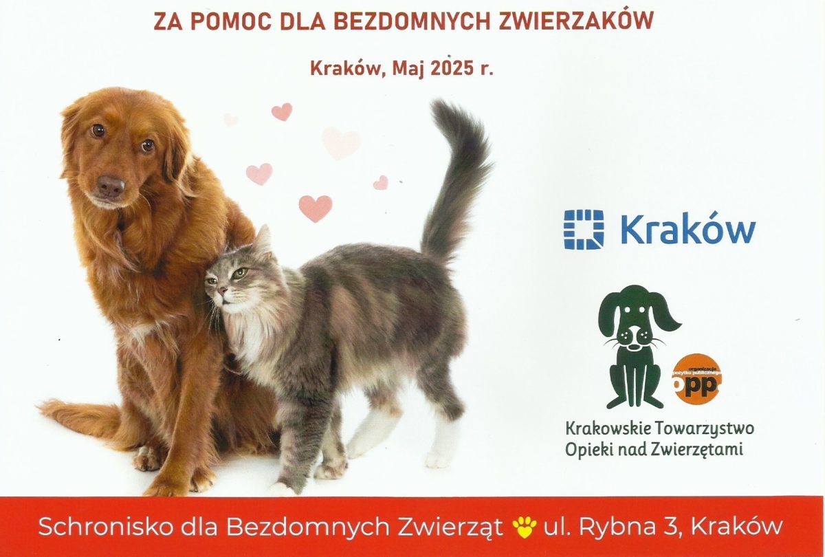 KTOZ wyr