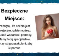 standardy_ochrony_13