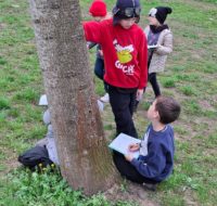 dzien_ziemi_2026_22