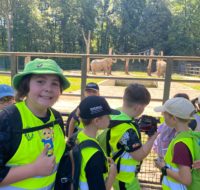 zoo_1