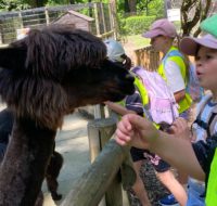 zoo_11