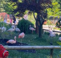 zoo_2