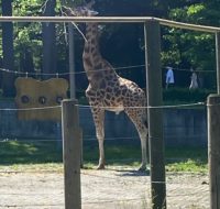 zoo_4